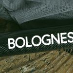Bolognese